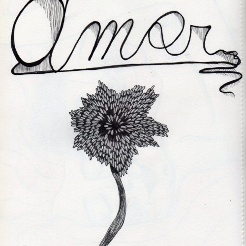 amor
