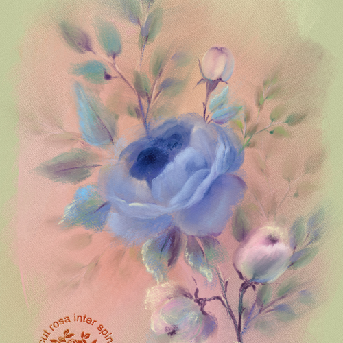 Blue Rose