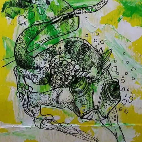Chameleon