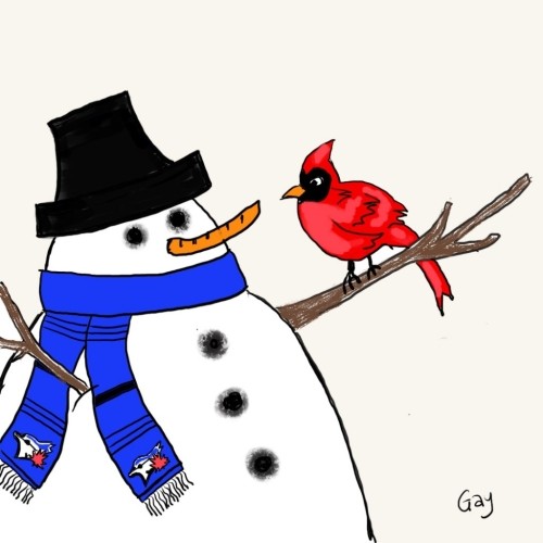Canadian Cardinal and Blue Jays