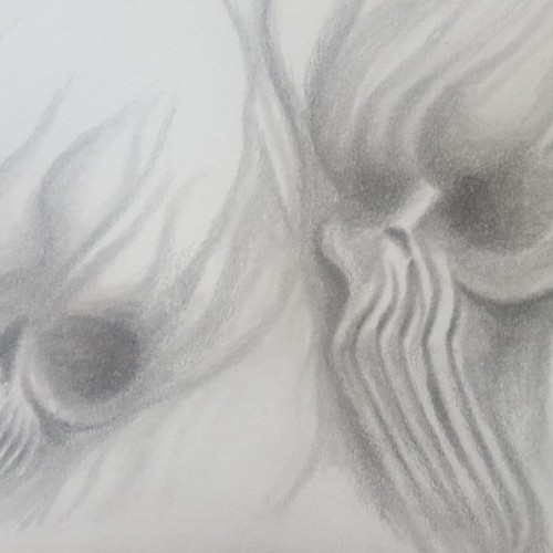 Steamy skulls
