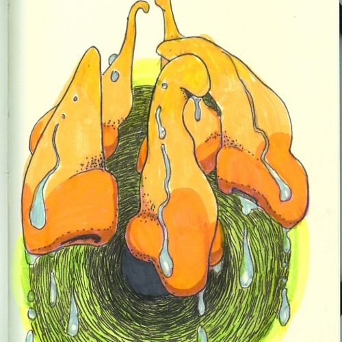 Untitled