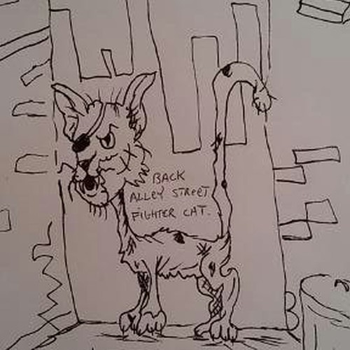 alley cat fighter