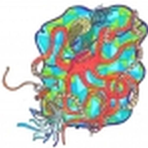 Manuela Rojas Varón