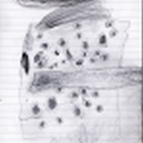 Jean Franscuz PiaPia