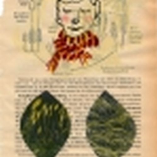 stephanie burlefinger