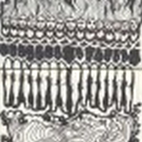 ariel danielle norris