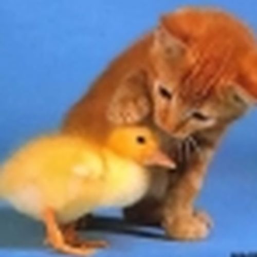 Jennifer Hope Clarkston