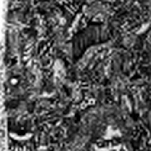 Jessica-Grace Bradner