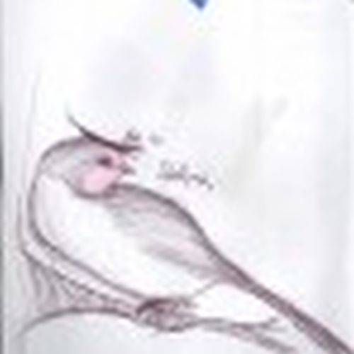 William Kevin Harvey