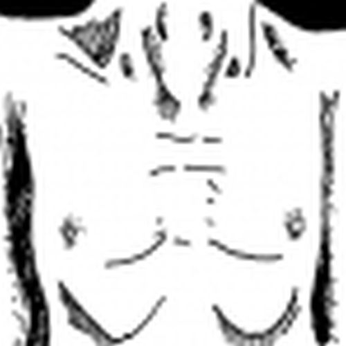 Andrés Arenales Duarte